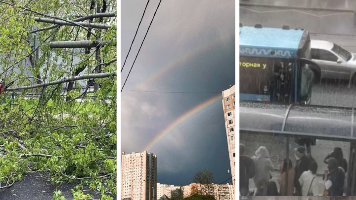 Поваленные деревья, разбитые авто и радуга. Показываем, как разбушевалась погода в Москве в пятницу, 13-го