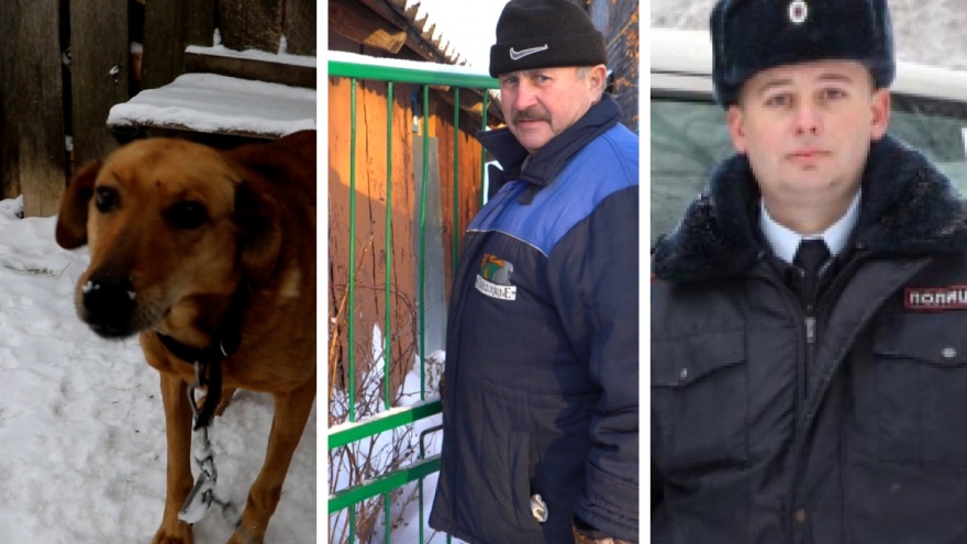 Счет на минуты. В Нижегородской области участковый нашел блуждавшего по лесу охотника по следам его истощенной собаки