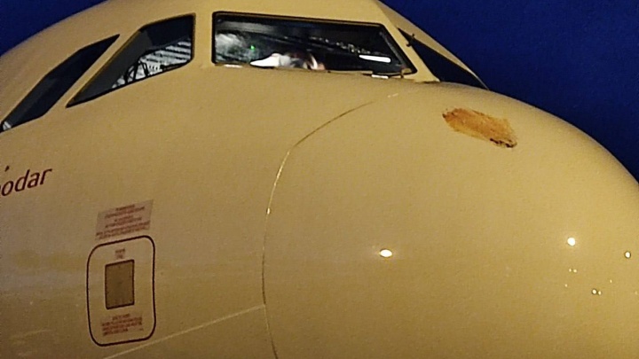 В Перми после посадки пассажирского самолета обнаружили вмятину от разбившейся птицы