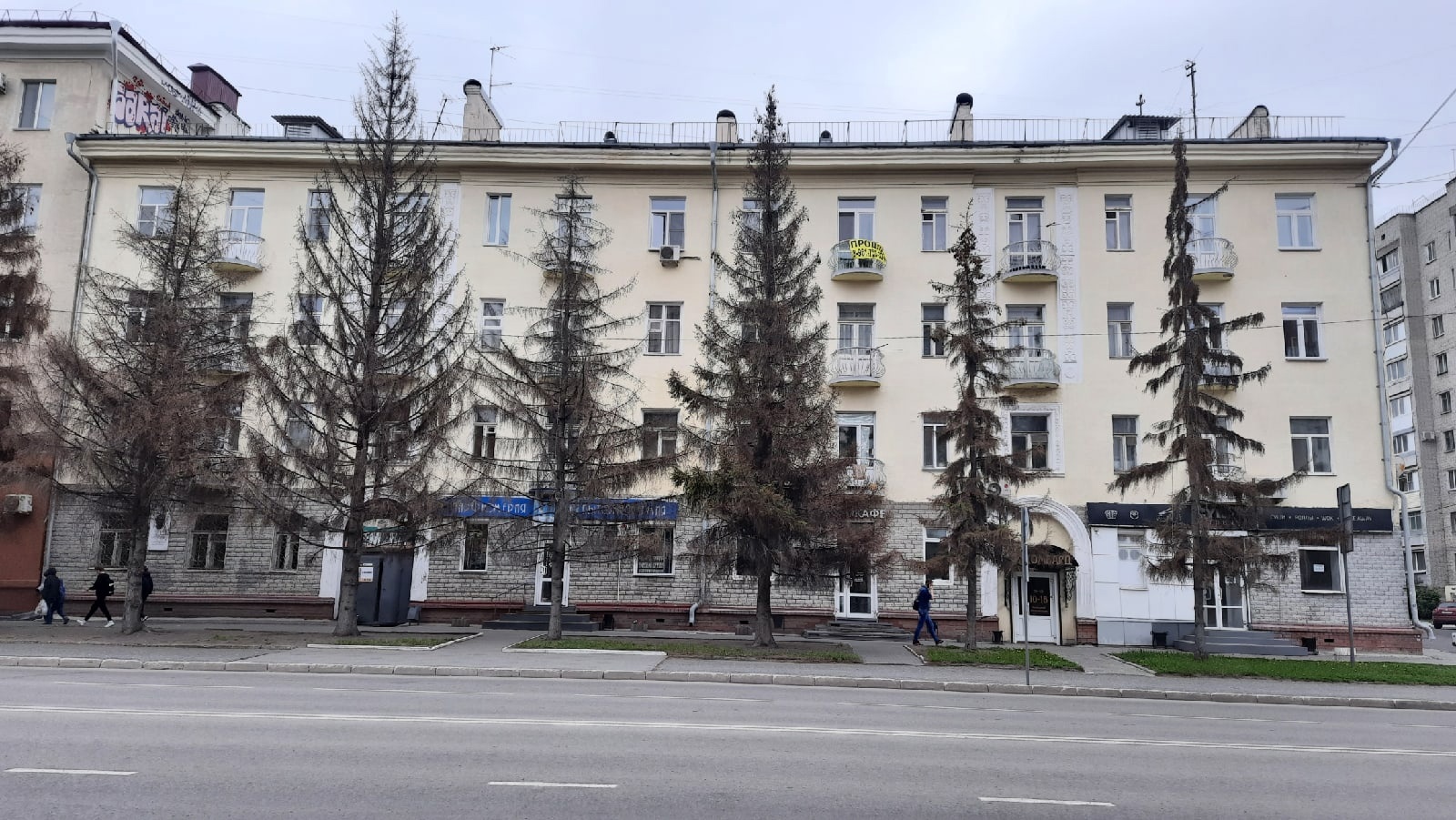 Если ели всё-таки погибнут, то их заменят на другие деревья Если ели всё-таки погибнут, то их заменят на другие деревья