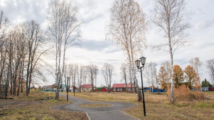 В районе Тюменской области, где нет роддома, благоустроят парк за 40 миллионов рублей