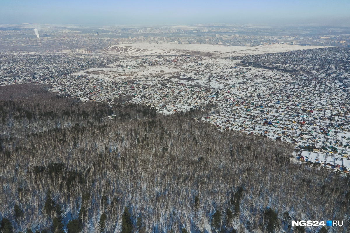 В Красноярске горит «Лысая гора». Поджигателей будут искать, когда потушат пожар