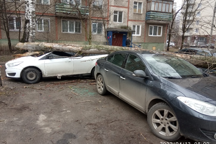 Сухое дерево сломалось ночью Сухое дерево сломалось ночью