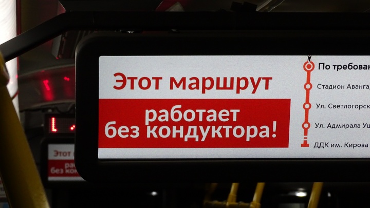 Как оплатить проезд в общественном транспорте Перми без кондуктора? Инструкция с ответами на вопросы