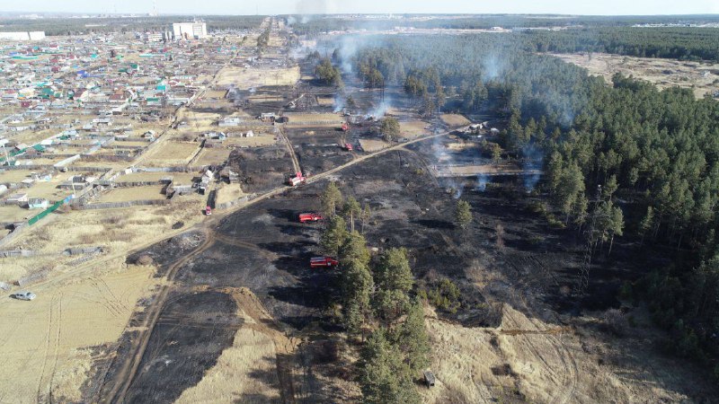 Сжигание сухой травы стало причиной пожара в СНТ «Солнечный» Усольского района