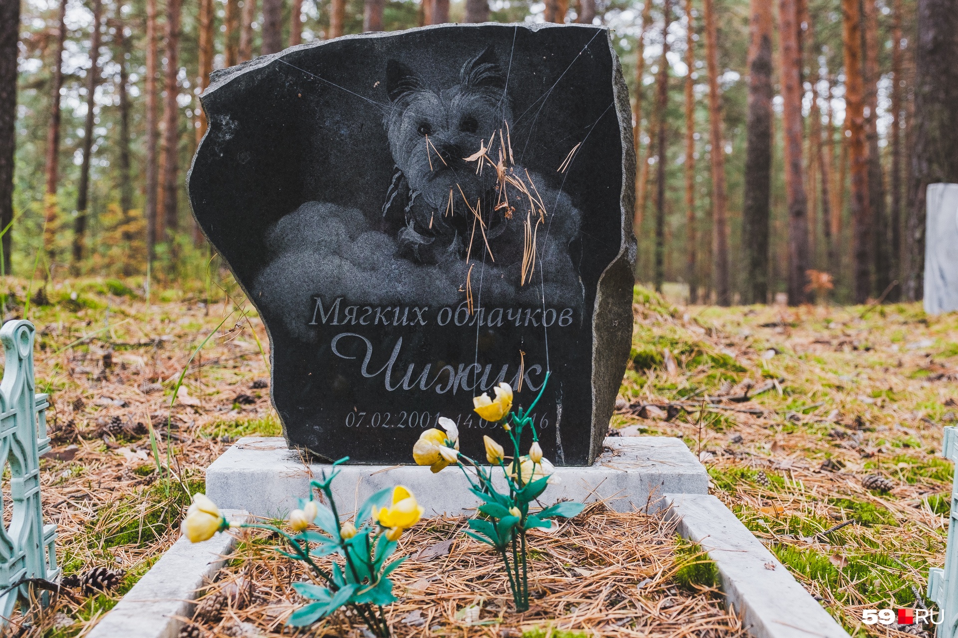 Этот памятник немного пострадал за четыре года. На фото этого не видно, но на земле хозяева разбросали ракушки Этот памятник немного пострадал за четыре года. На фото этого не видно, но на земле хозяева разбросали ракушки