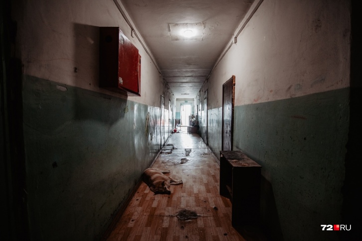 Большинство людей дома хочет отдыхать. Но есть те, кто не привык сдерживать свои желания послушать музыку, потанцевать или страстно поругаться с женой Большинство людей дома хочет отдыхать. Но есть те, кто не привык сдерживать свои желания послушать музыку, потанцевать или страстно поругаться с женой