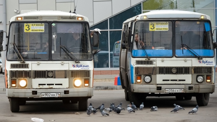 «Корректировка всей транспортной системы»: даже после аудита за миллионы Архангельск не откажется от пазиков