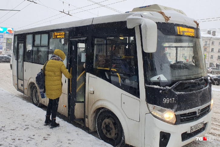 Два новых перевозчика уже приступили к работе в Ярославле