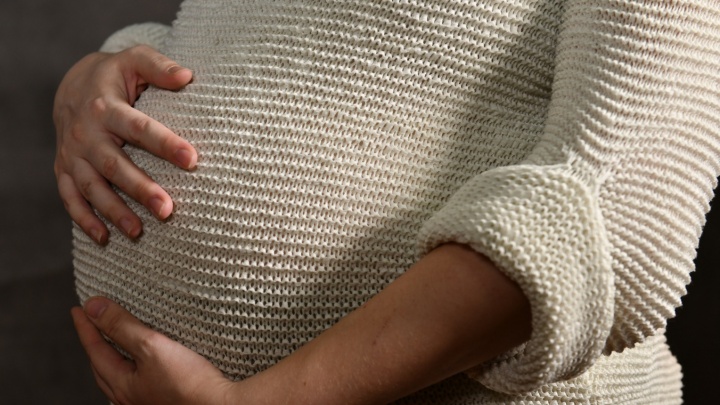 Выплаты для беременных и родителей-одиночек придут в конце декабря