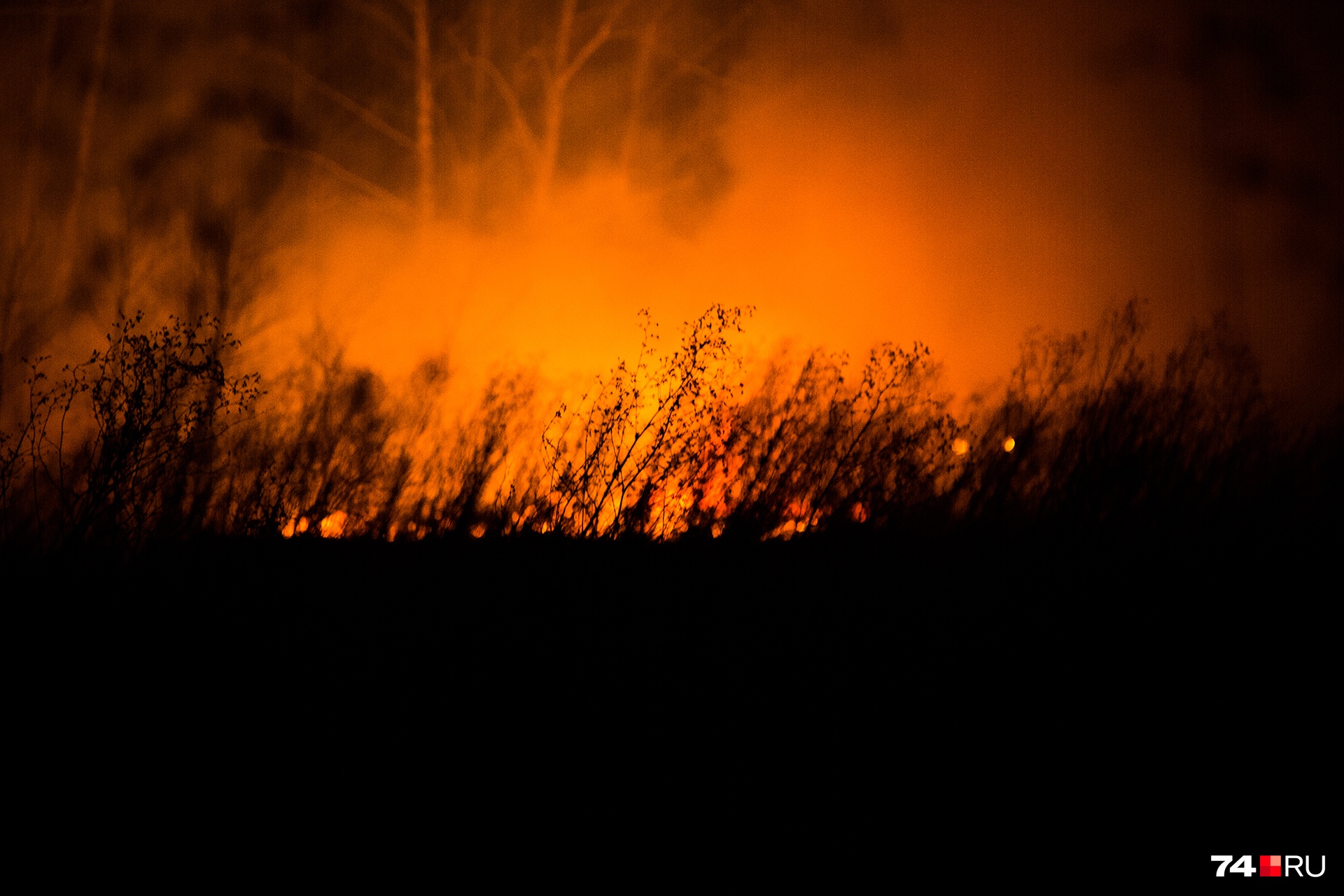 В прошлом году лесные пожары бушевали в Челябинской области