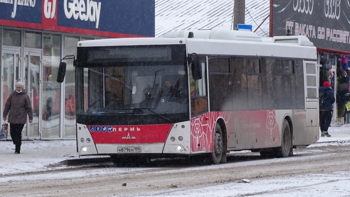 В Перми определили перевозчиков на новые автобусные маршруты