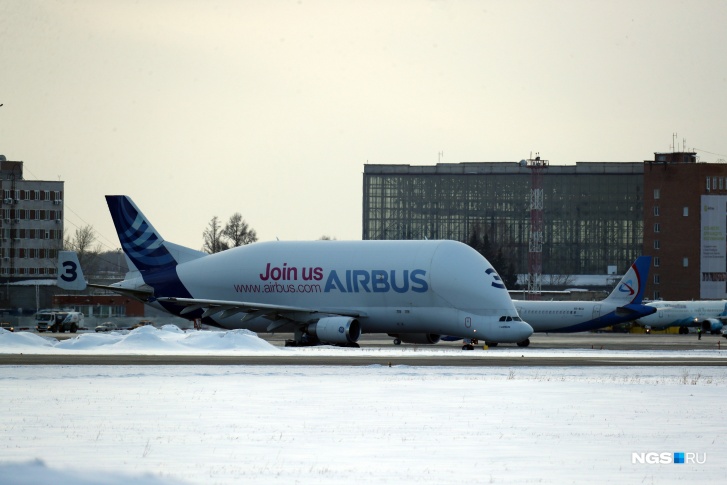 Airbus <nobr class="_">A300–600ST</nobr> Beluga — один из самых больших самолетов в мире