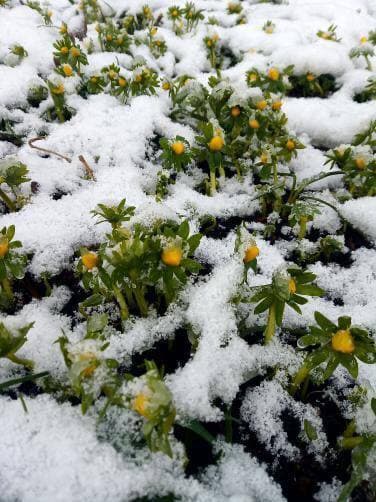 Кафе «У пани Сони»