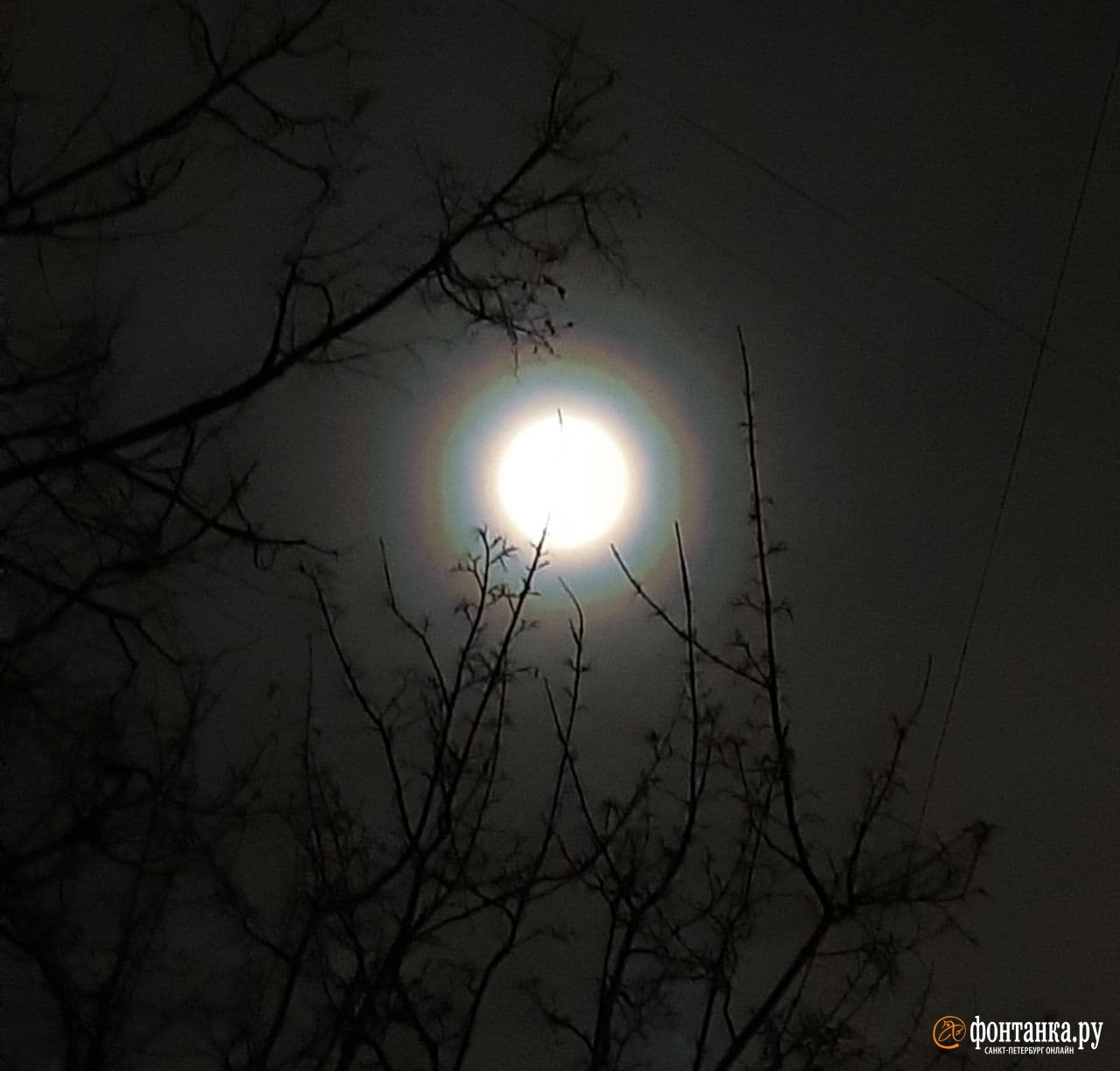 Венец вокруг Луны в Петербурге в ночь на 21 ноября