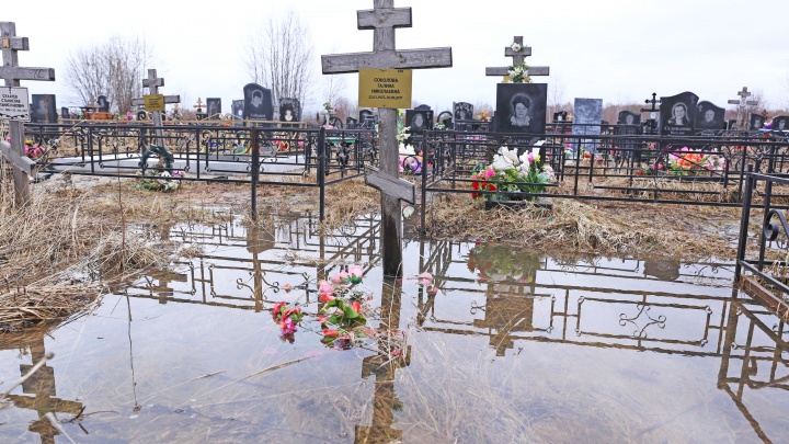 В мэрии Ярославля выдвинули свою версию, почему затопило Осташинское кладбище