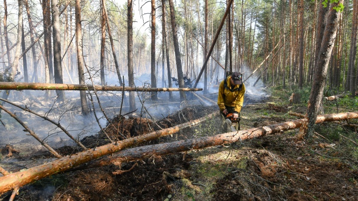 Губернатор Наталья Комарова ввела режим ЧС из-за лесных пожаров в Югре