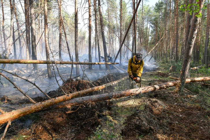 В Югре снова ухудшилась ситуация с лесными пожарами