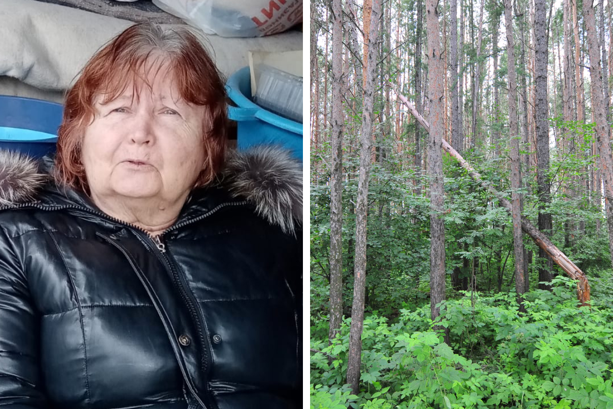 «Могла пойти по трассе». Под Екатеринбургом бесследно пропала пенсионерка в кофте с розочками