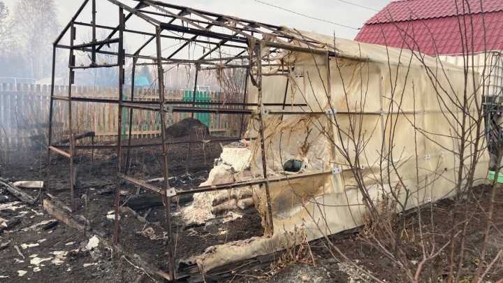 В СНТ под Тюменью сгорели три дома и несколько построек
