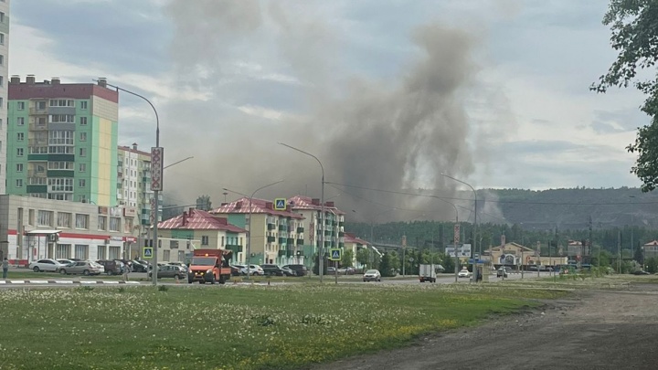 В кузбасском городе заметили дым. До этого там выгорело 20 га леса