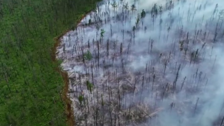 В Югре продолжает гореть лес на площади 3662 га