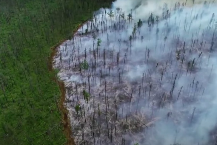 26 июля зафиксировано 26 пожаров на землях лесного фонда