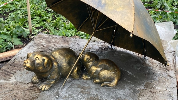 В Лысьве поставили скульптуру со щенками, спасающимся от дождя. На открытие пришли собаки (видео)