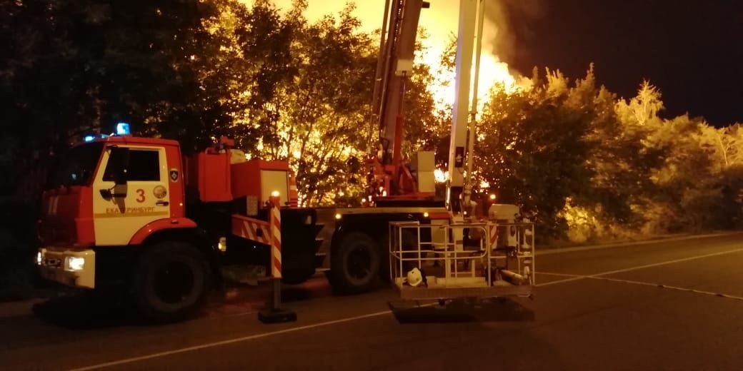 Спасатели локализовали пожар на площади 1000 кв. метров: всё, что известно о возгорании в Лечебном