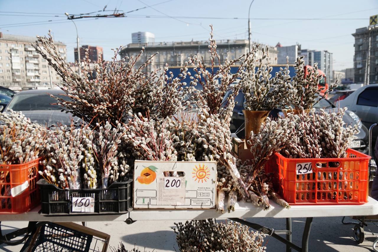 Время запасаться к празднику: на улицах Новосибирска начали продавать вербу