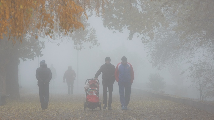 Дыша снегами и туманами: смотрим погоду в Волгограде на ближайшие выходные