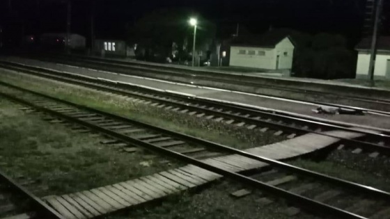 Шел вдоль путей: в Прикамье мужчину насмерть сбил поезд