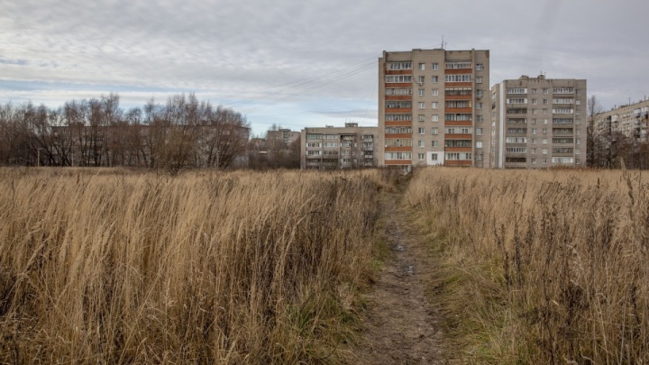 «Негативно влияют на окружающую среду»: в Ярославле исследовали территорию шламонакопителей «Лакокраски»