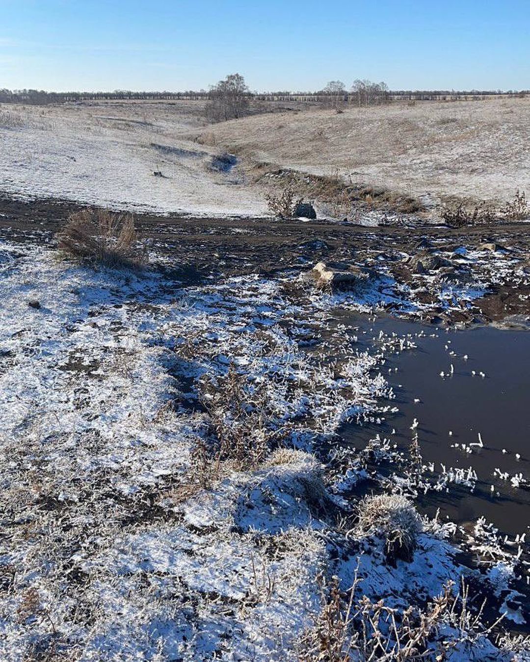Вредные вещества попали в воду с полей, куда свиноводческий комплекс сваливал отходы Вредные вещества попали в воду с полей, куда свиноводческий комплекс сваливал отходы