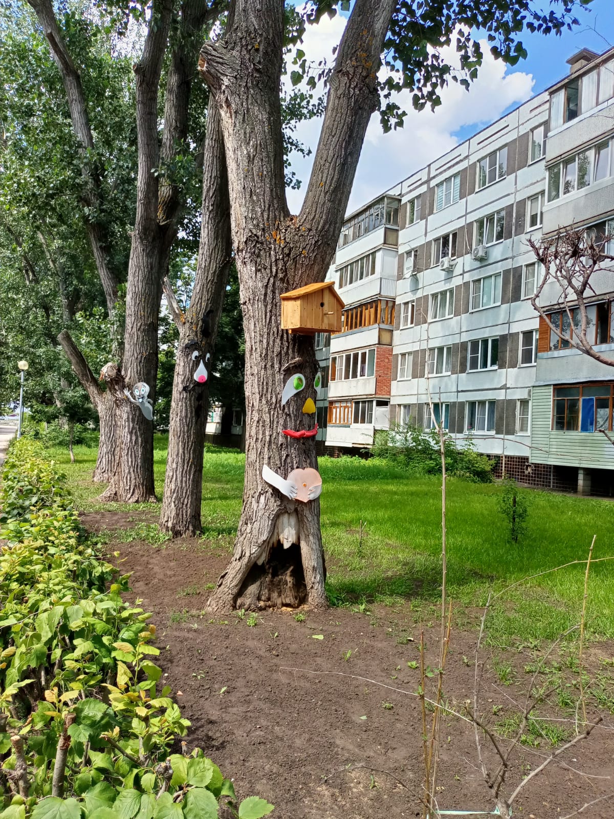 С такими пеньками и ночью гулять нестрашно — смотрят и охраняют С такими пеньками и ночью гулять нестрашно — смотрят и охраняют