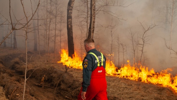 Как в прошлом году: Greenpeace прогнозирует серьезные лесные пожары в Тюменской области
