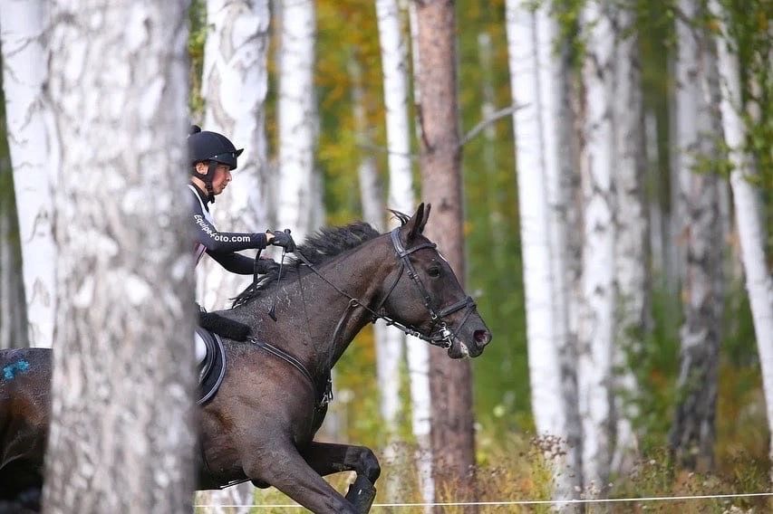 Петербургские конники стали призёрами чемпионатов России. Судьи даже необычно дополнили протоколы