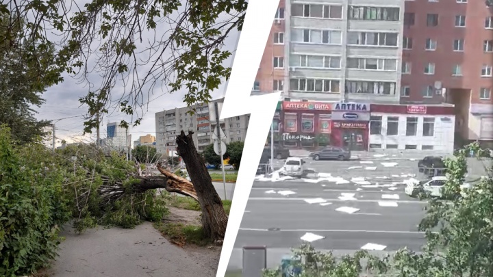 Поломанные деревья и улетевшие крыши — последствия сильного ветра в Тюмени
