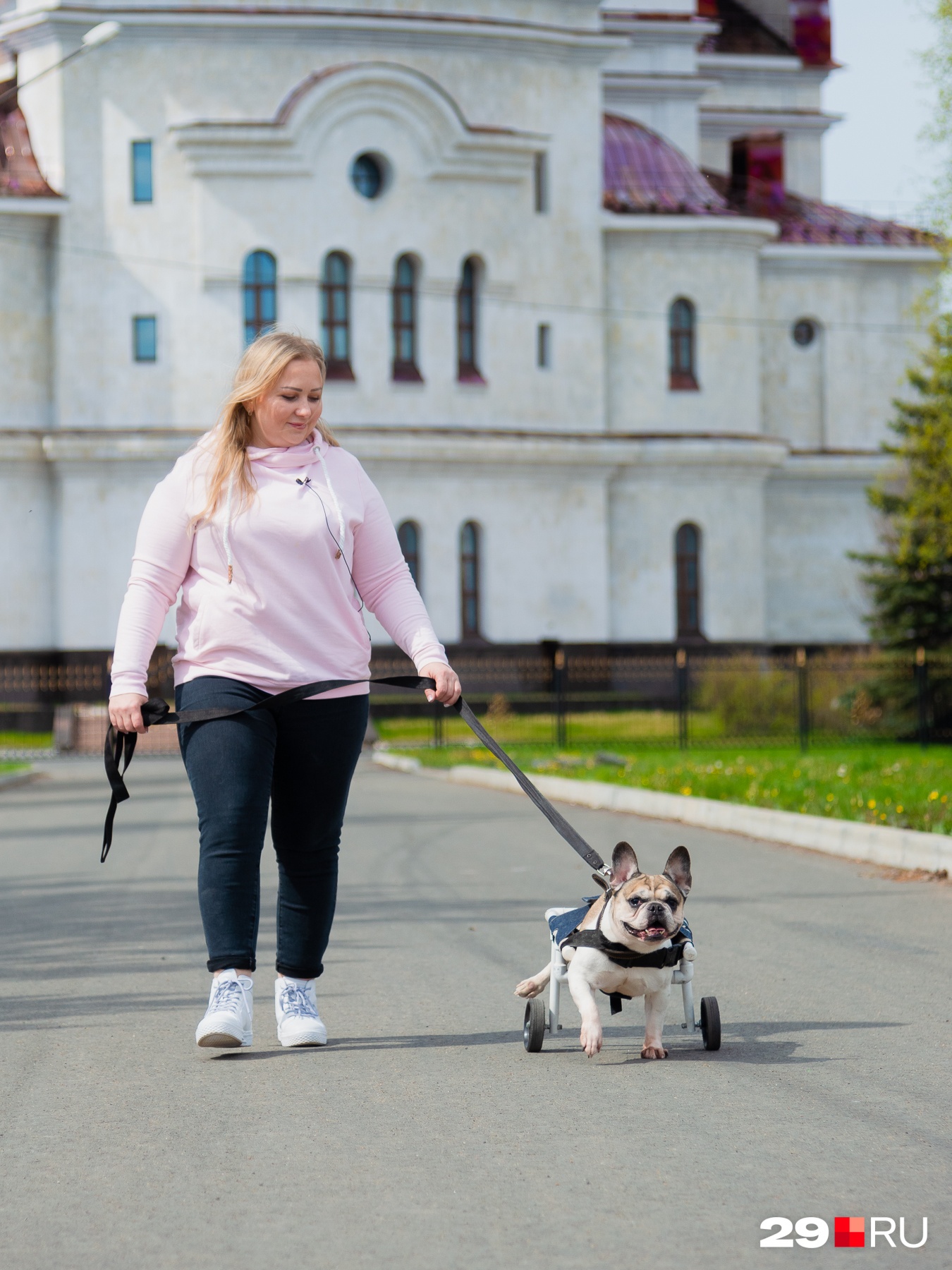 Впереди — много прогулок! Впереди — много прогулок!