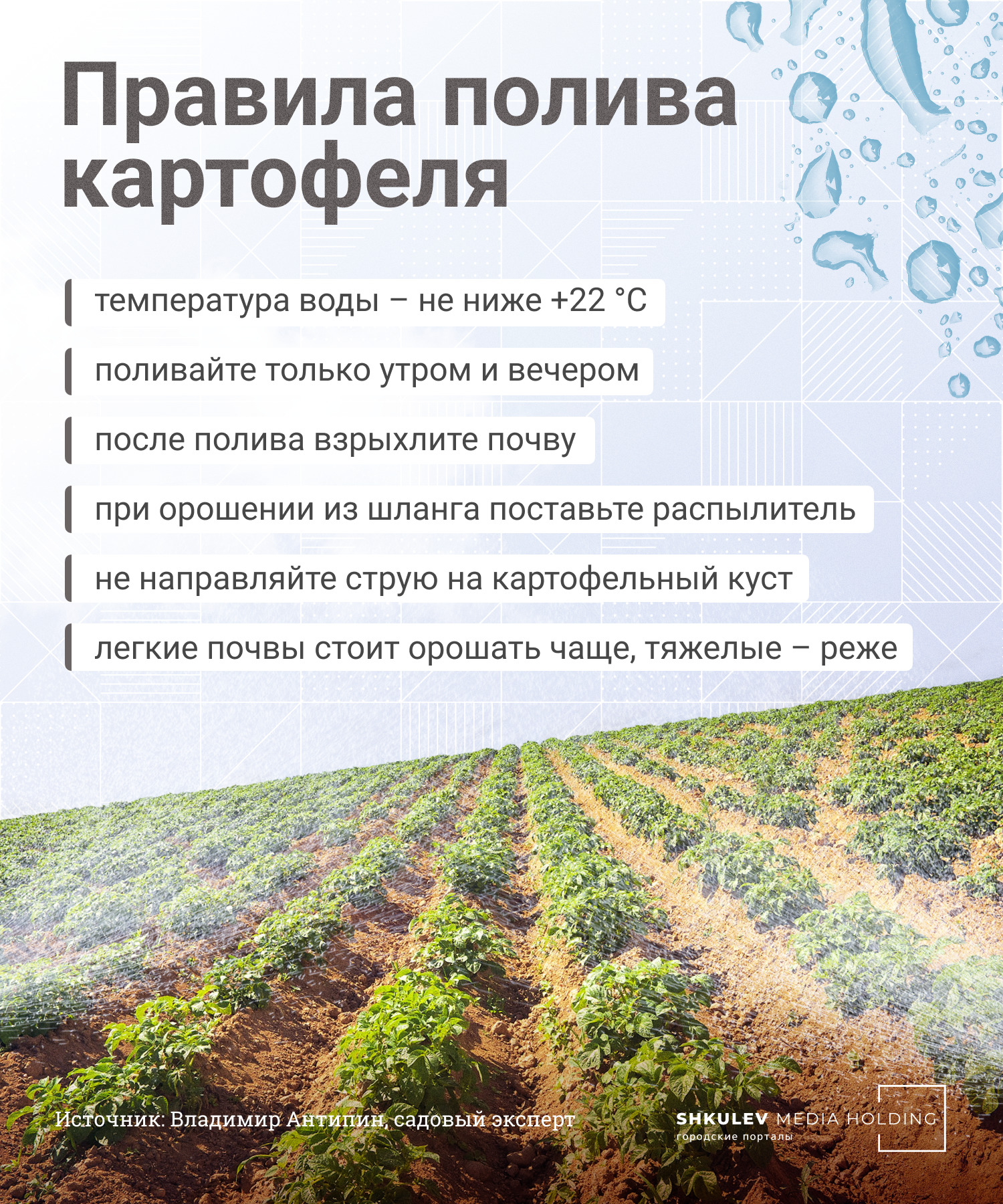 Шесть простых правил полива картофеля Шесть простых правил полива картофеля