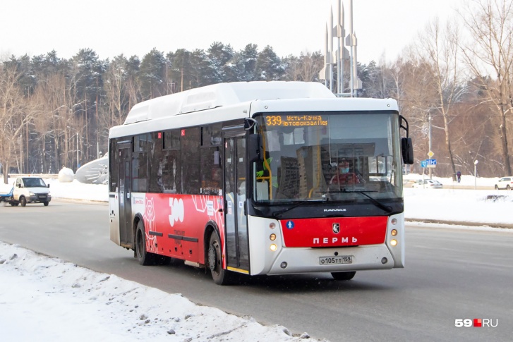 Межмуниципальные автобусы, по правилам, не должны останавливаться на всех остановках