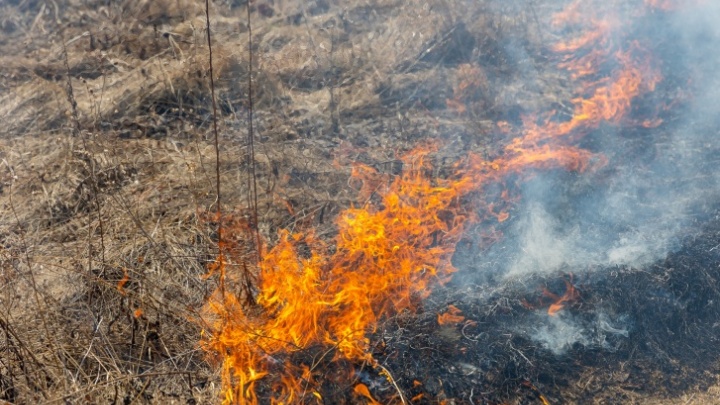 В Красноярске и крае вновь пожары, сильный ветер осложняет ситуацию