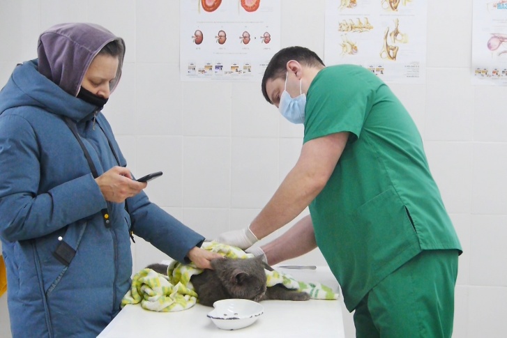 Коту уже оказали помощь, но предстоит долгая реабилитация Коту уже оказали помощь, но предстоит долгая реабилитация