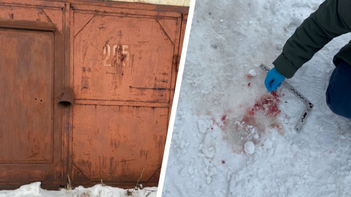 В СК прокомментировали гибель женщины, загрызенной собаками в Переславле-Залесском