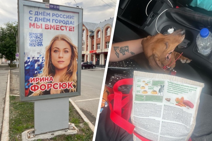Ирина Форсюк входит в Общественный совет при МВД Прикамья. На втором фото — такса в машине Ирины Ирина Форсюк входит в Общественный совет при МВД Прикамья. На втором фото — такса в машине Ирины