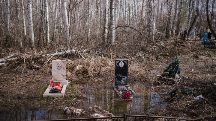 Мэрия объяснила, почему кладбище в Академгородке подтапливает уже 10 лет. Будет ли решать проблему — не уточнила