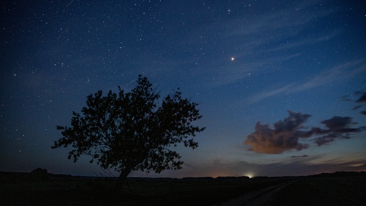 «Сезон наблюдения больших планет»: в небе над Новосибирском станут видны Сатурн и Юпитер