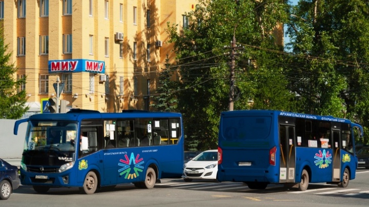 В Архангельске автобусы покрасят в синий цвет. Останутся ли пазики? Изучили новые контракты