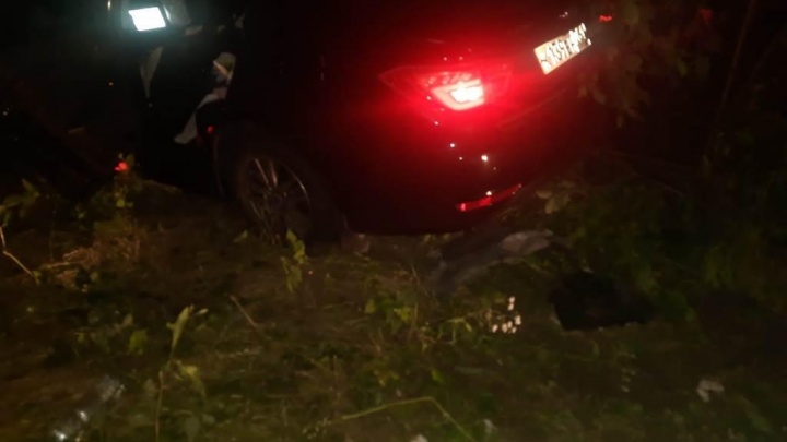 Под Краснодаром водитель врезался в дерево и погиб
