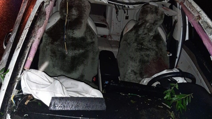 Водитель автомобиля скончался после столкновения с лосем на трассе в Кузбассе